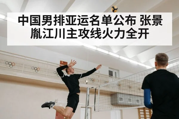 volleyball player spiking